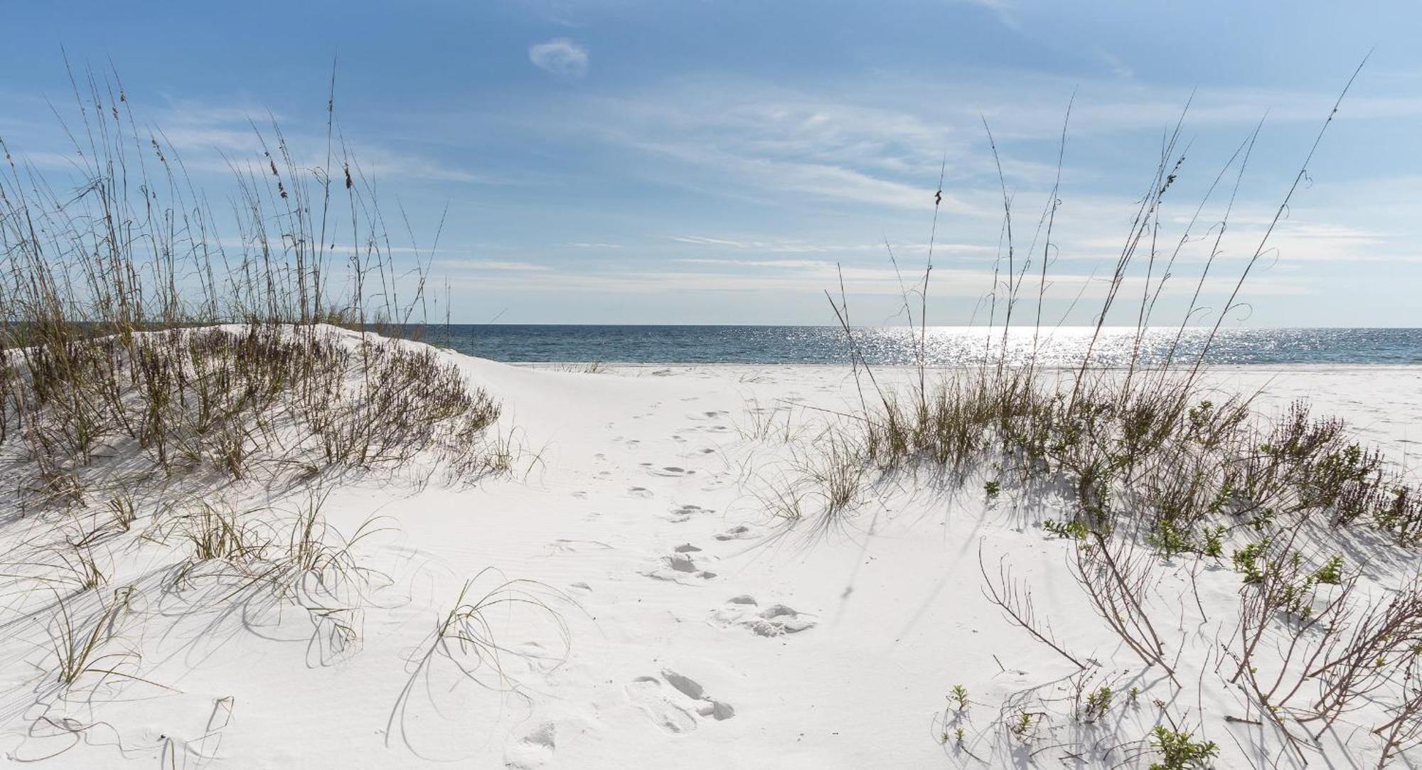 Nautilus 2408 Gulf View 2 Bedroom 4Th Floor Free Beach Service Fort Walton Beach Esterno foto