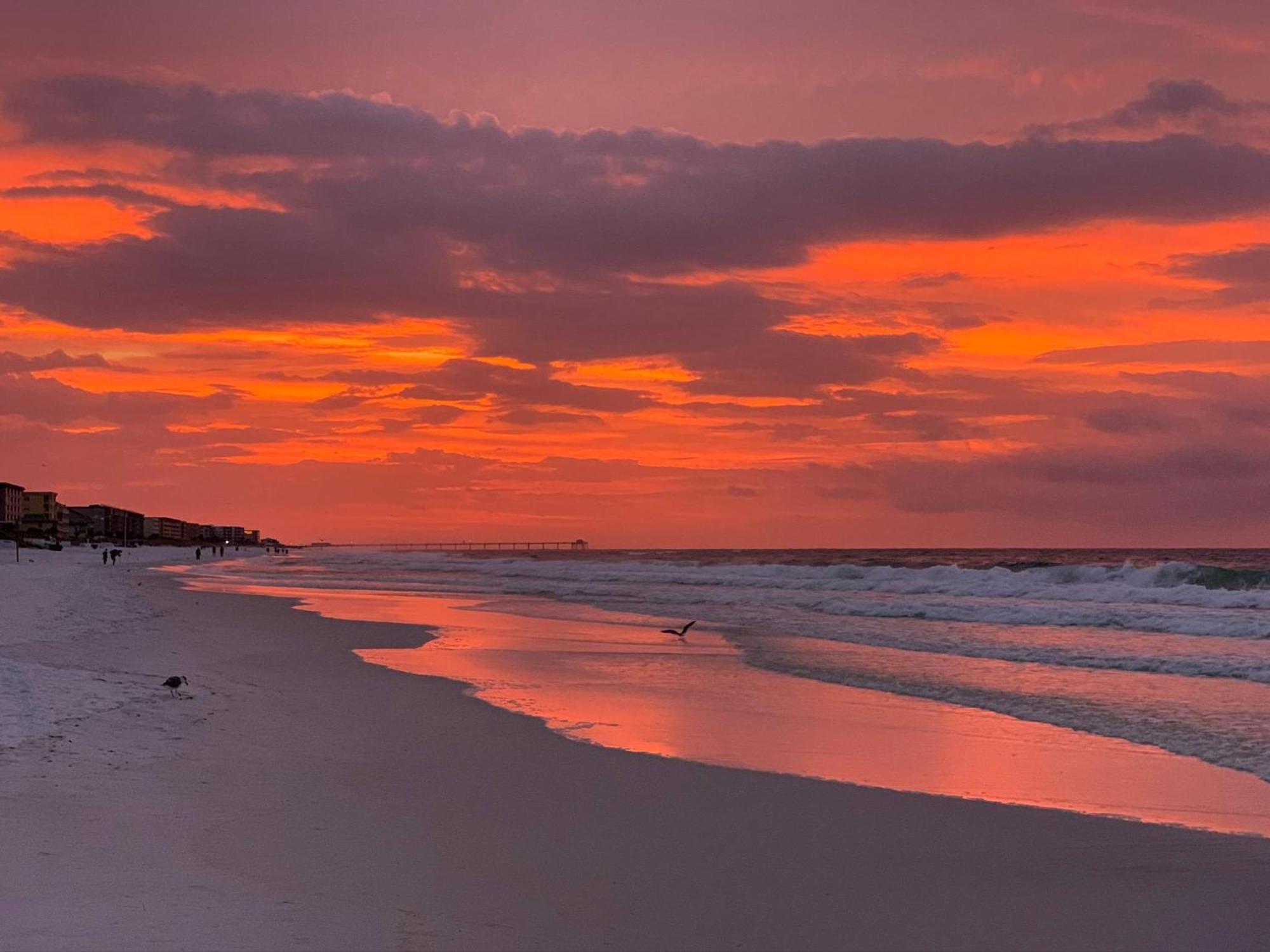 Nautilus 2408 Gulf View 2 Bedroom 4Th Floor Free Beach Service Fort Walton Beach Esterno foto