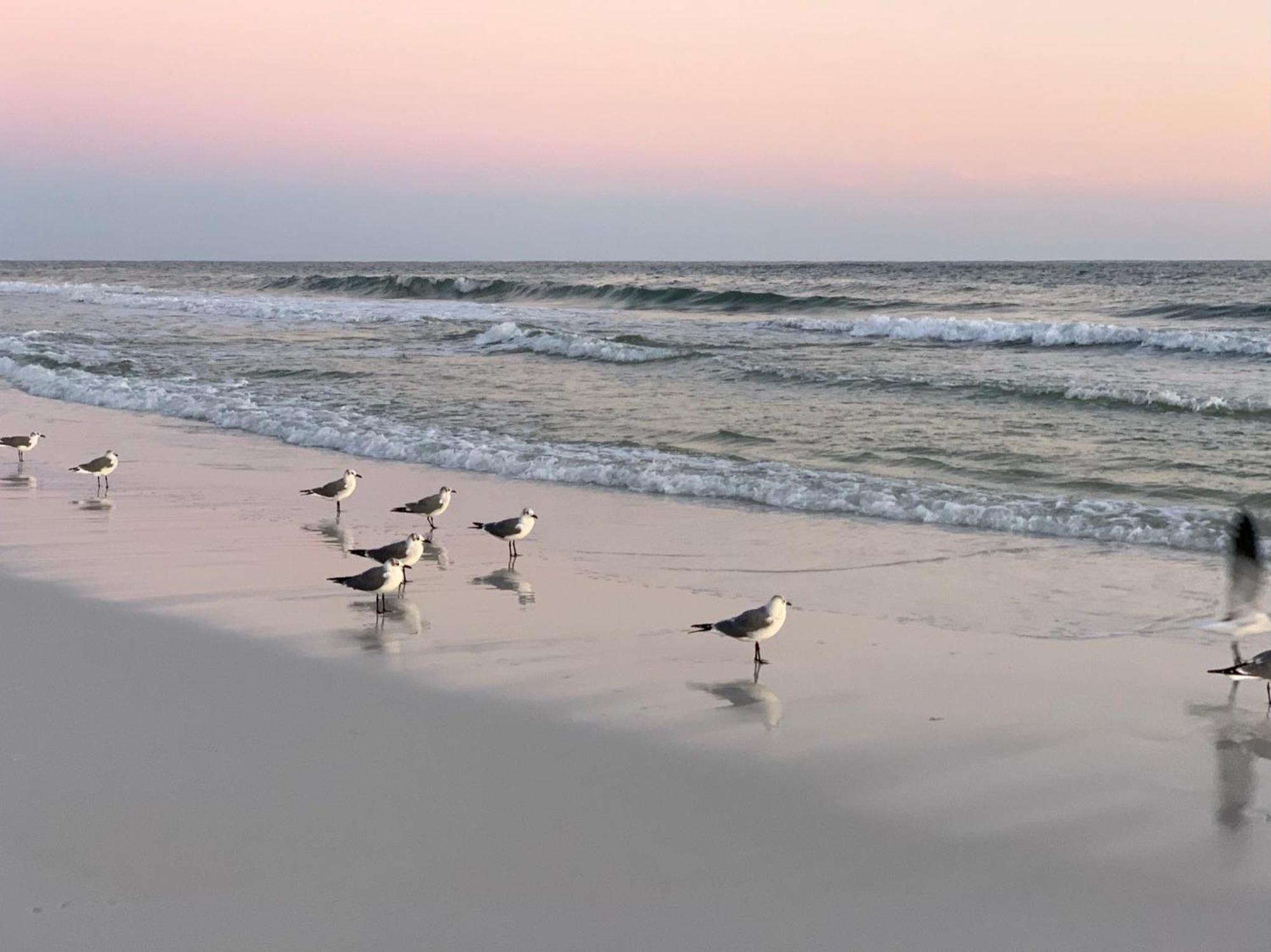 Nautilus 2408 Gulf View 2 Bedroom 4Th Floor Free Beach Service Fort Walton Beach Esterno foto