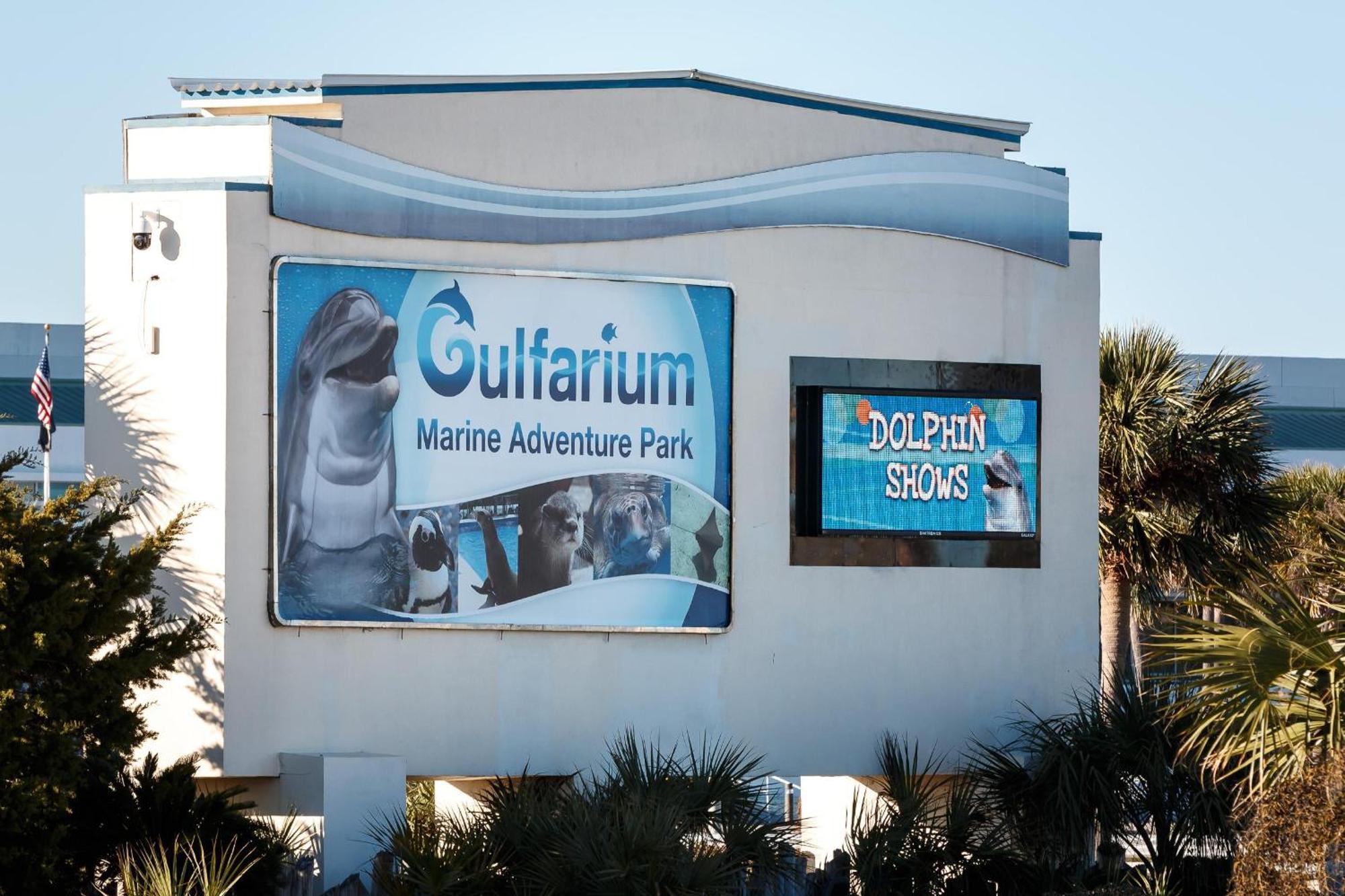 Nautilus 2408 Gulf View 2 Bedroom 4Th Floor Free Beach Service Fort Walton Beach Esterno foto