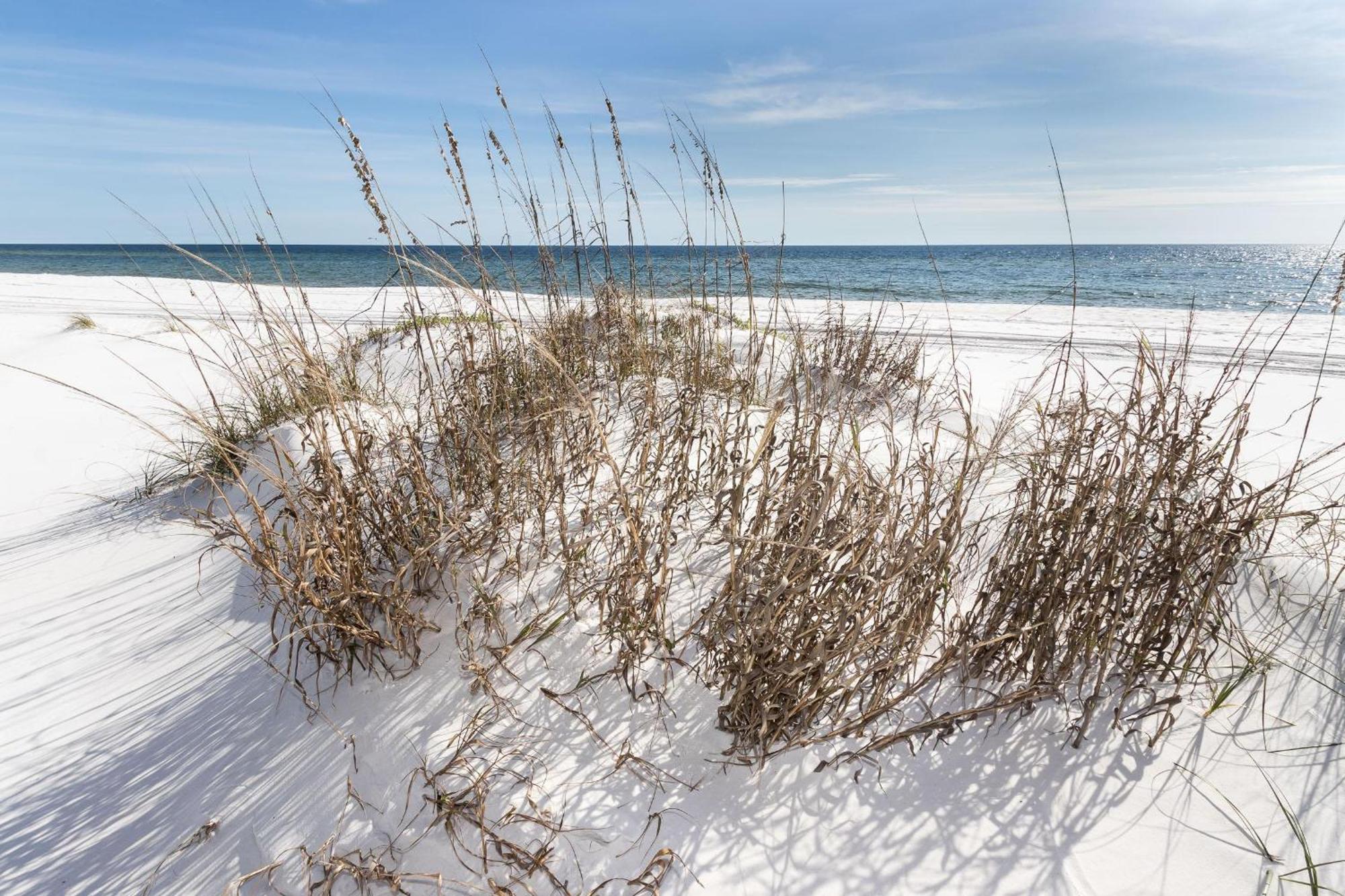 Nautilus 2408 Gulf View 2 Bedroom 4Th Floor Free Beach Service Fort Walton Beach Esterno foto